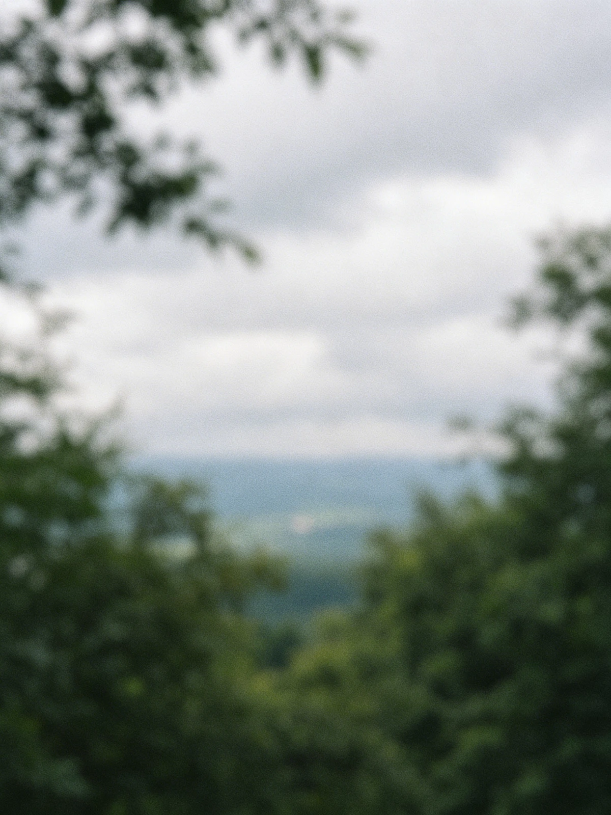 First image